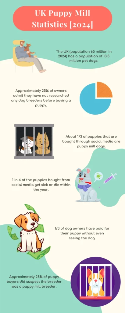 UK Puppy Mill Statistics [2024]: - The UK (population 65 million in 2024) has a population of 13.5 million pet dogs; - Approximately 25% of owners admit they have not researched any dog breeders before buying a puppy; - About 1/3 of puppies that are bought through social media are puppy mill dogs; - 1 in 4 of the puppies bought from social media get sick or die within the year; - 1/3 of dog owners have paid for their puppy without even seeing the dog; - Approximately 25% of puppy buyers did suspect the breeder was a puppy mill breeder.