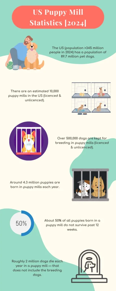 US Puppy Mill Statistics [2024]: - The US (population >345 million people in 2024) has a population of 89.7 million pet dogs; - There are an estimated 10,000 puppy mills in the US (licenced & unlicenced); - Over 500,000 dogs are kept for breeding in puppy mills (licenced & unlicenced); - Around 4.3 million puppies are born in puppy mills each year; - About 50% of all puppies born in a puppy mill do not survive past 12 weeks; - Roughly 2 million dogs die each year in a puppy mill — that does not include the breeding dogs.